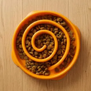 Orange_spiral_slow_feeder